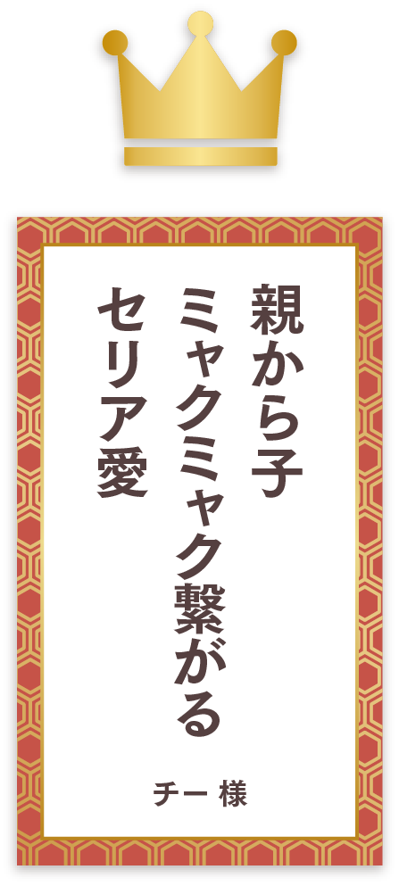 断捨離を 終わらせセリアで リバウンド しまらー様
